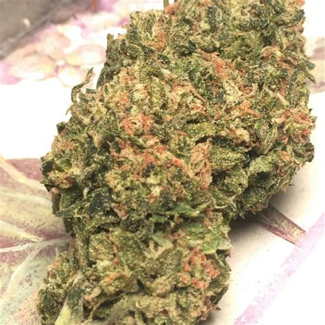 Blueberry Kush aka Blueberry OG Kush Weed Strain Information